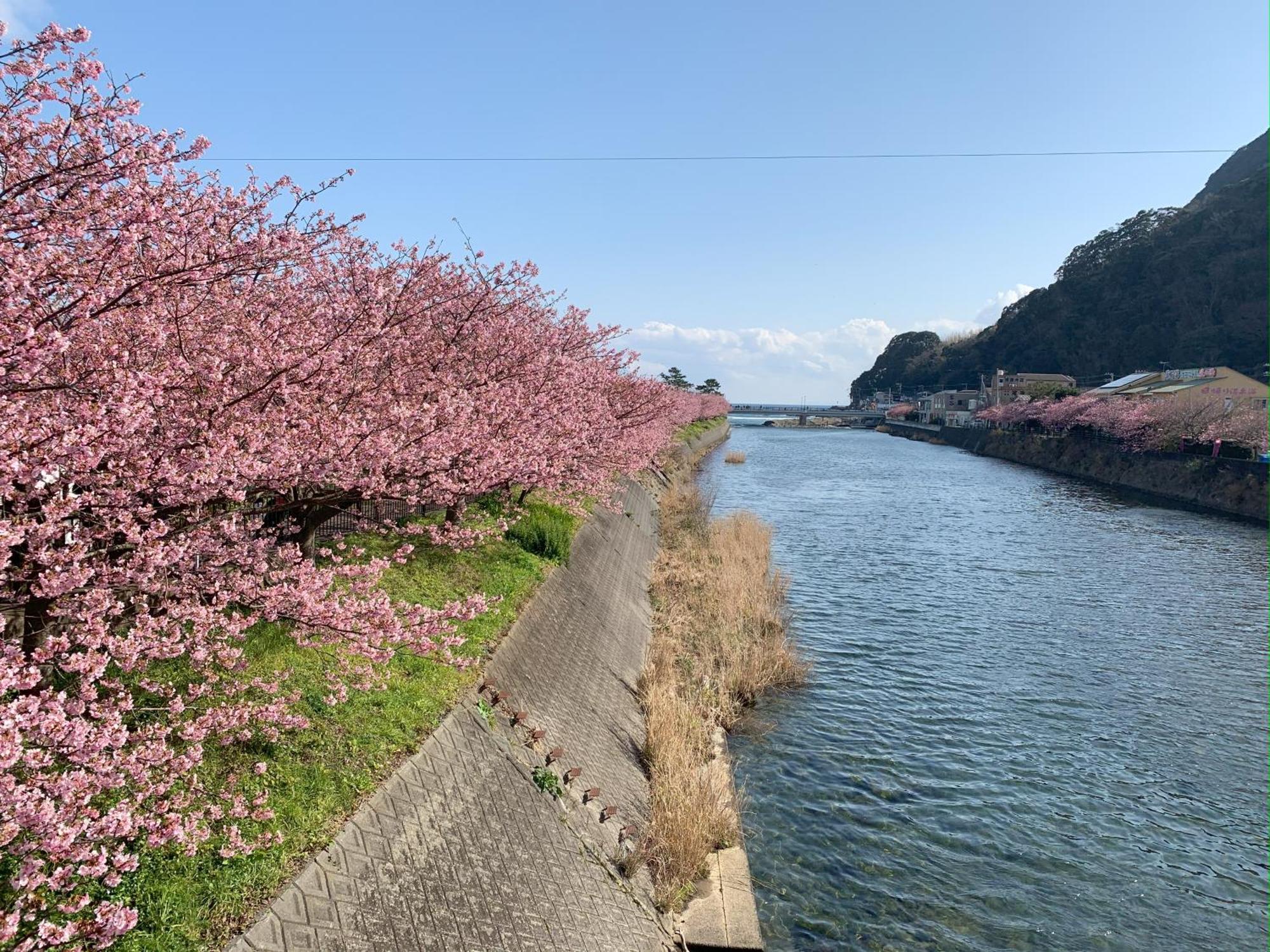 Vila 伊豆高原テラス-寛道- Ito  Exteriér fotografie